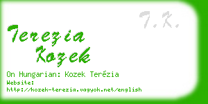 terezia kozek business card